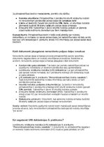 Samples 'Grāmatvedības politikas plāns pilnsabiedrībai', 23.