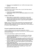 Samples 'Grāmatvedības politikas plāns pilnsabiedrībai', 28.
