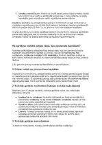 Samples 'Grāmatvedības politikas plāns pilnsabiedrībai', 29.