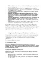 Samples 'Grāmatvedības politikas plāns pilnsabiedrībai', 38.