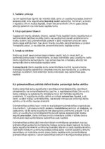 Samples 'Grāmatvedības politikas plāns pilnsabiedrībai', 39.