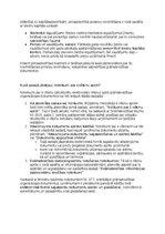Samples 'Grāmatvedības politikas plāns pilnsabiedrībai', 41.