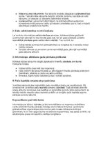 Samples 'Grāmatvedības politikas plāns pilnsabiedrībai', 43.