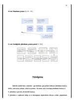 Research Papers 'Plānošanas funkcija organizācijā', 14.
