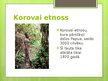 Presentations 'Etnoss', 10.