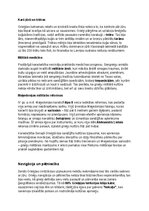 Summaries, Notes 'Seno grieķu vēsture, kultūra, mitoloģija, sabiedrība un kultūras mantojums', 28.