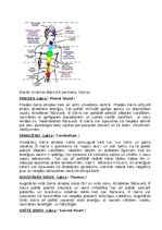 Summaries, Notes '7 cilvēka dzīves ķermeņi', 18.