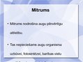 Presentations 'Agroklimatiskie resursi. Agroklimatiskie resursi Latvijā', 8.