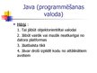 Presentations 'Programmēšanas valodas', 16.