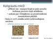 Presentations 'Kailgraudu miežu audzēšanas tehnoloģija un izmantošana', 2.
