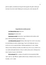 Practice Reports 'Pirmsskolas izglītības prakse', 14.