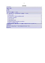 Term Papers 'Uzņēmuma SIA "Med Pro Inc" finansiālās darbības analīze un pilnveidošana', 5.