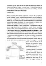 Research Papers 'Valdorfpedagoģijas idejas - sapņi un realitāte', 2.