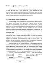 Term Papers 'Tūrisma aģentūras "El'Santa" saimnieciskās darbības analīze un attīstības perspe', 8.