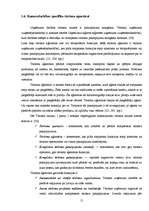 Term Papers 'Tūrisma aģentūras "El'Santa" saimnieciskās darbības analīze un attīstības perspe', 15.