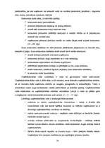 Term Papers 'Tūrisma aģentūras "El'Santa" saimnieciskās darbības analīze un attīstības perspe', 24.