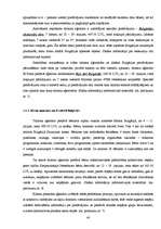 Term Papers 'Tūrisma aģentūras "El'Santa" saimnieciskās darbības analīze un attīstības perspe', 40.