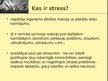 Presentations 'Stress', 2.