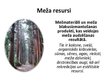 Presentations 'Meža resursi un to izmantošana Latvijā', 2.