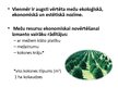 Presentations 'Meža resursi un to izmantošana Latvijā', 3.