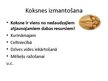 Presentations 'Meža resursi un to izmantošana Latvijā', 11.