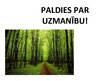 Presentations 'Meža resursi un to izmantošana Latvijā', 16.