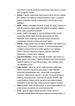 Research Papers 'Atkritumu problēmas Latvijā', 7.