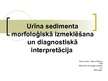 Presentations 'Urīna sedimenta morfoloģiskā izmeklēšana un diagnostiskā interpretācija', 1.