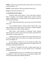 Research Papers 'Žurnālistikas funkcijas un principi laikraksta "Talsu Vēstis" 2009.gada titullap', 9.