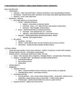 Samples 'ANATOMIJA; ĶERMEŅA UZBŪVES PAMATPRINCIPI 
Atbildes anatomijas eksāmenam', 4.