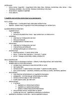 Samples 'ANATOMIJA; ĶERMEŅA UZBŪVES PAMATPRINCIPI 
Atbildes anatomijas eksāmenam', 6.