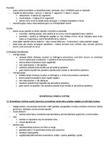 Samples 'ANATOMIJA; ĶERMEŅA UZBŪVES PAMATPRINCIPI 
Atbildes anatomijas eksāmenam', 14.