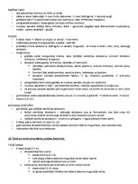 Samples 'ANATOMIJA; ĶERMEŅA UZBŪVES PAMATPRINCIPI 
Atbildes anatomijas eksāmenam', 17.