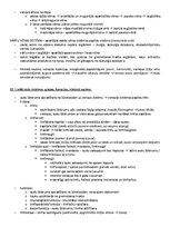 Samples 'ANATOMIJA; ĶERMEŅA UZBŪVES PAMATPRINCIPI 
Atbildes anatomijas eksāmenam', 30.