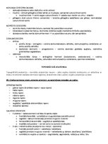 Samples 'ANATOMIJA; ĶERMEŅA UZBŪVES PAMATPRINCIPI 
Atbildes anatomijas eksāmenam', 43.