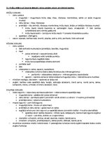 Samples 'ANATOMIJA; ĶERMEŅA UZBŪVES PAMATPRINCIPI 
Atbildes anatomijas eksāmenam', 45.