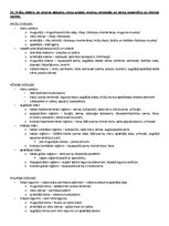 Samples 'ANATOMIJA; ĶERMEŅA UZBŪVES PAMATPRINCIPI 
Atbildes anatomijas eksāmenam', 47.