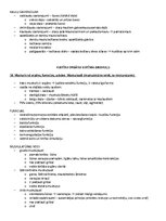 Samples 'Ķermeņa uzbūves pamatprincipi', 9.