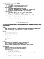 Samples 'Ķermeņa uzbūves pamatprincipi', 12.