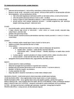 Samples 'Ķermeņa uzbūves pamatprincipi', 22.