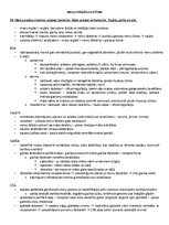 Samples 'Ķermeņa uzbūves pamatprincipi', 23.