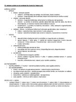 Samples 'Ķermeņa uzbūves pamatprincipi', 24.