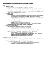 Samples 'Ķermeņa uzbūves pamatprincipi', 25.