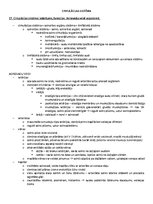 Samples 'Ķermeņa uzbūves pamatprincipi', 26.