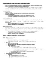 Samples 'Ķermeņa uzbūves pamatprincipi', 28.