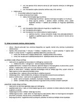 Samples 'Ķermeņa uzbūves pamatprincipi', 29.