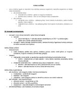 Samples 'Ķermeņa uzbūves pamatprincipi', 31.