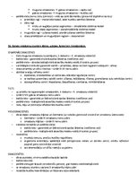 Samples 'Ķermeņa uzbūves pamatprincipi', 33.