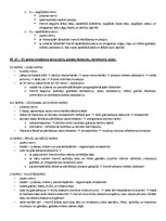 Samples 'Ķermeņa uzbūves pamatprincipi', 38.