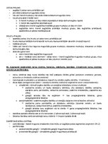 Samples 'Ķermeņa uzbūves pamatprincipi', 40.